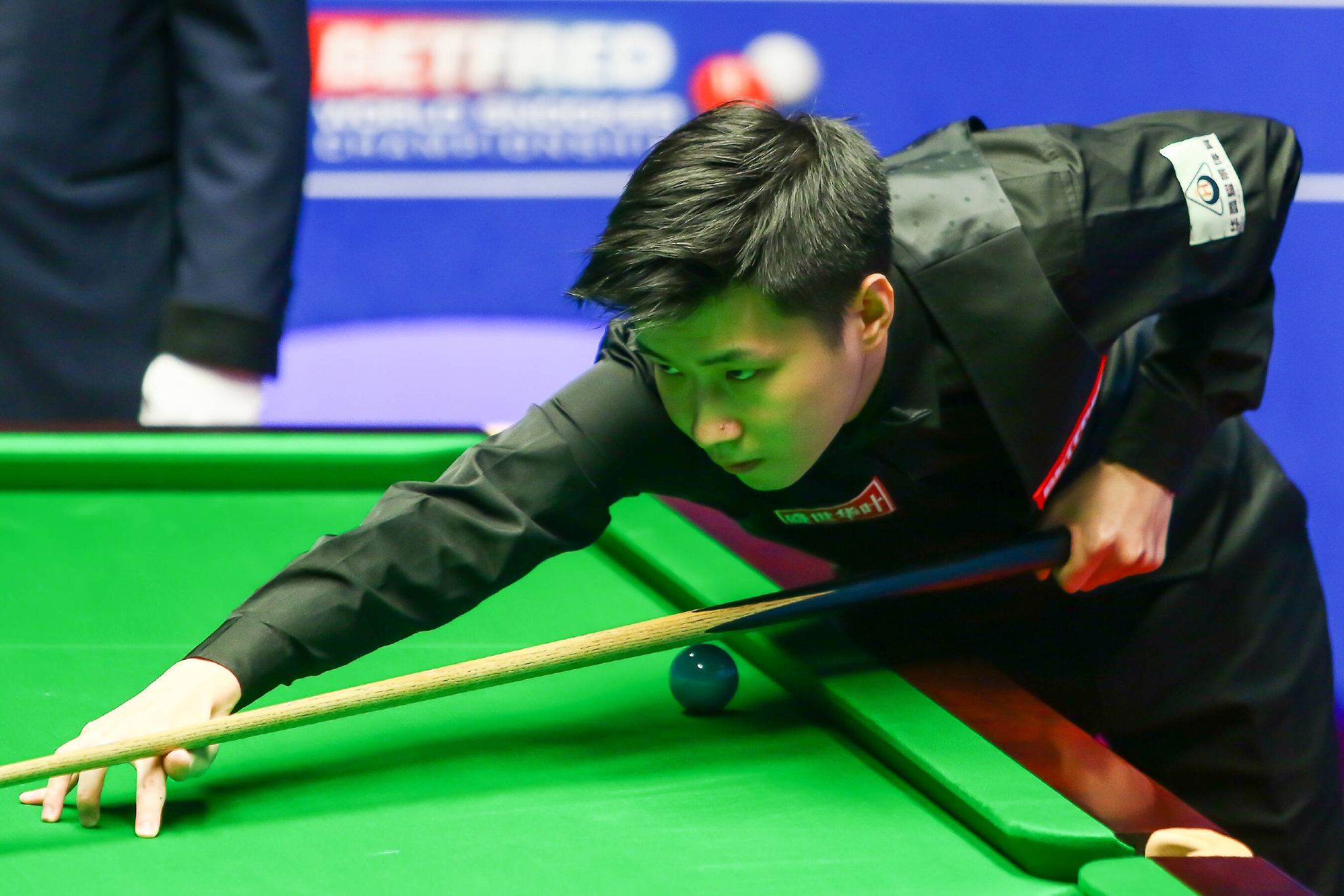 他们的狗狗 他们的狗狗