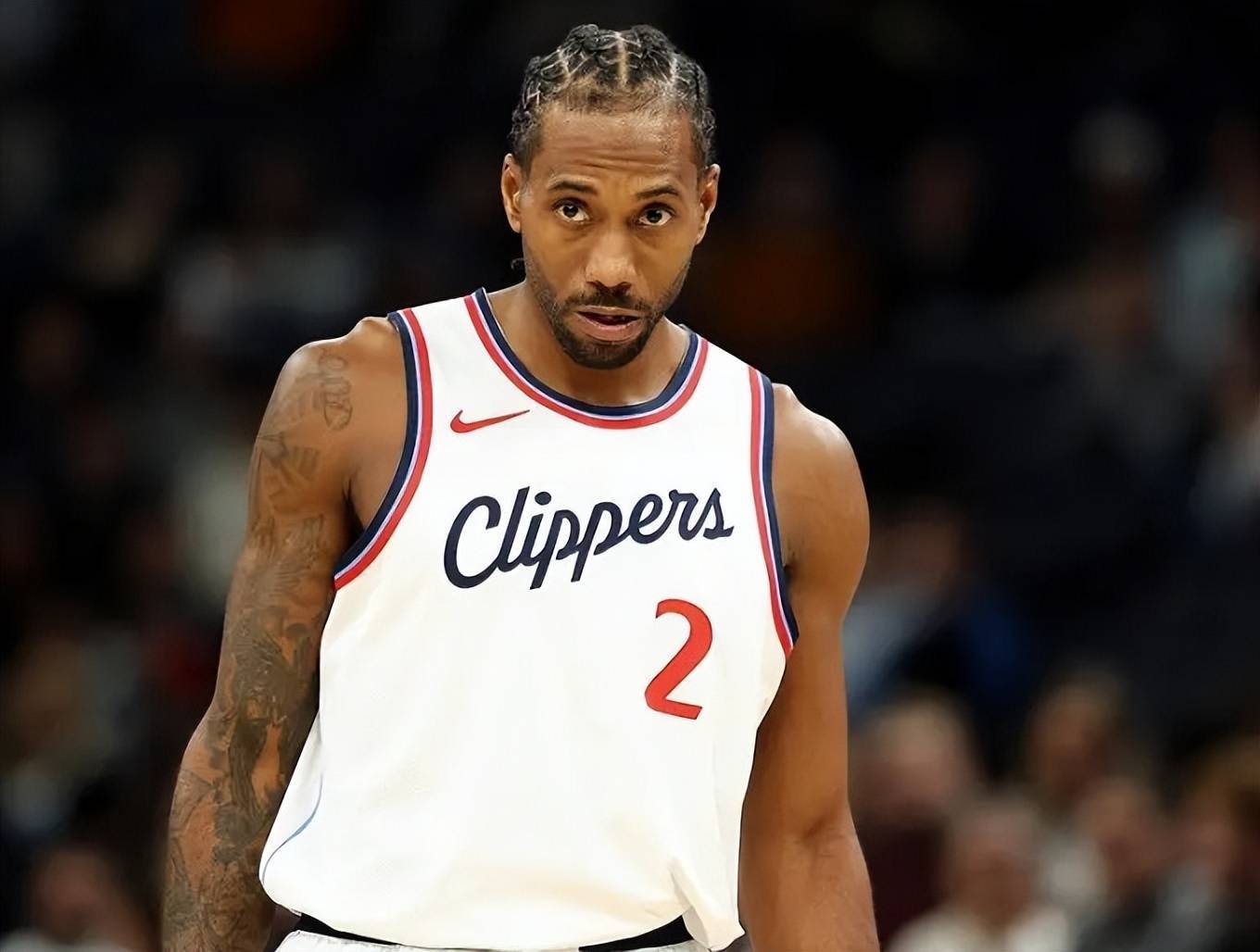 据库与检索 据库与检索